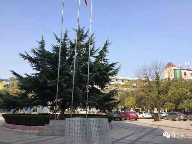 一文了解象湖边的“外国语”学校！