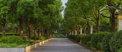 广东公办二本大学有哪些？附排名及分数线（2025参考）