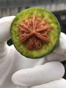 “10 块钱青皮核桃”引发文玩圈震荡,乱象背后真相大揭秘!