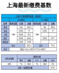 2025上海五险一金最低缴费明细,企业个人各交多少?