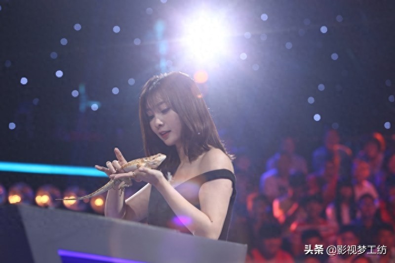 柳岩节目倒立秀傲人事业线