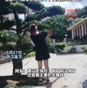 女子撞断绿化树枝被索赔8000元,律师怎么看?