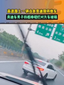 太猖狂了!花臂男子高速上恶意拦车,高速上别停、打砸车辆!