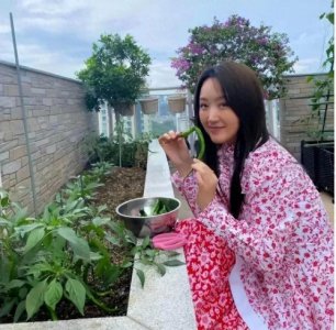 甜歌天后杨钰莹现在都已经50多岁了,至今未婚,现在生活竟是这样